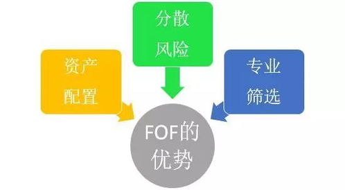 巴曙松等 公募fof的来龙去脉与投资评估