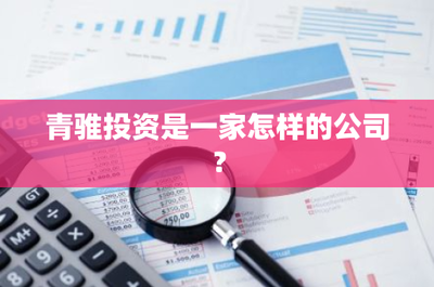 青骓投资是一家怎样的公司?