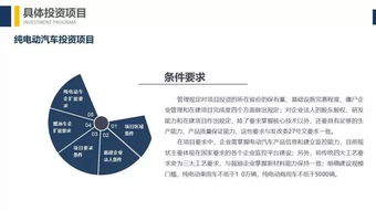 新能源汽车投资门槛提高,深入解读发改委 汽车产业投资管理规定
