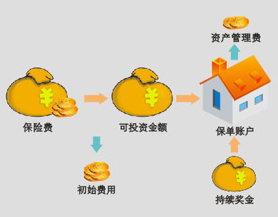 风险的性质