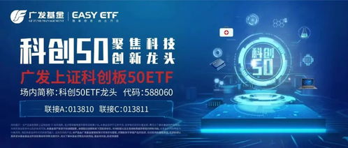 震荡徘徊的市场,是否该坚持定投